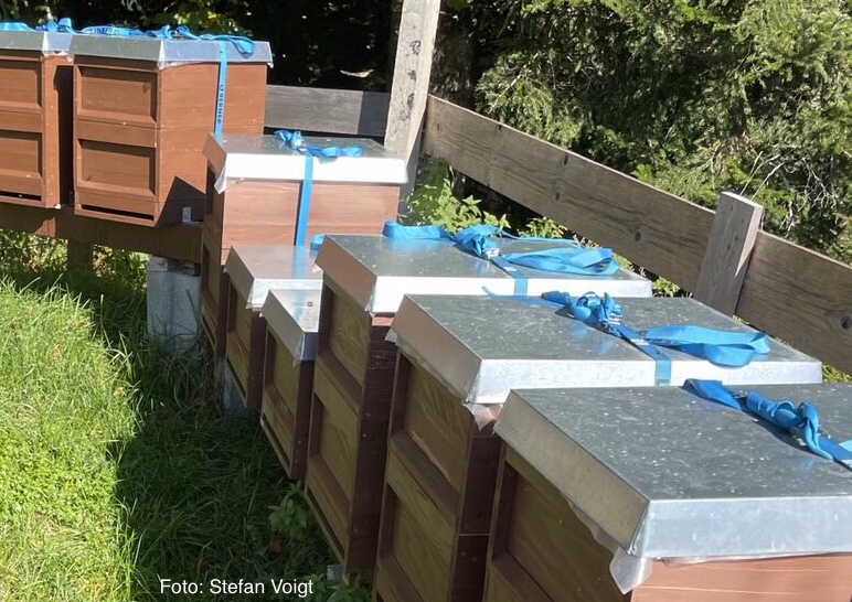Checkliste Bienenhaltung